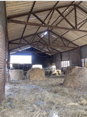Ferma animale fost CAP grajduri - imagine 5