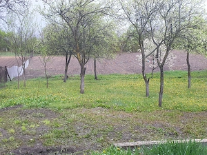 Vand casa la Sanger judetul Mures  - imagine 2