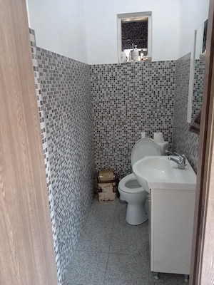 Vand casa la Sanger judetul Mures  - imagine 5