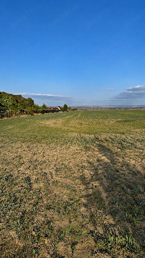 Teren langa padure