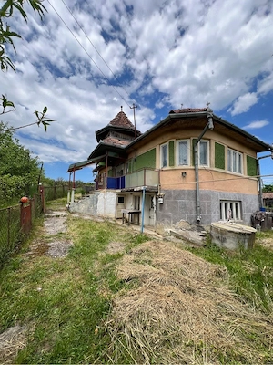 Casă cu 5.272 mp teren în Mura Mare (Gornești) - imagine 6