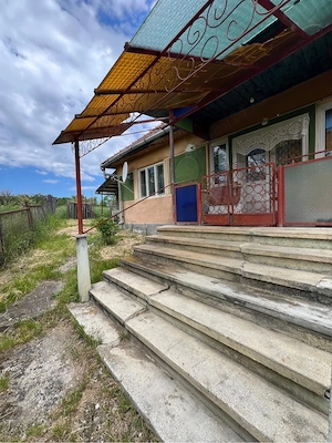 Casă cu 5.272 mp teren în Mura Mare (Gornești) - imagine 8