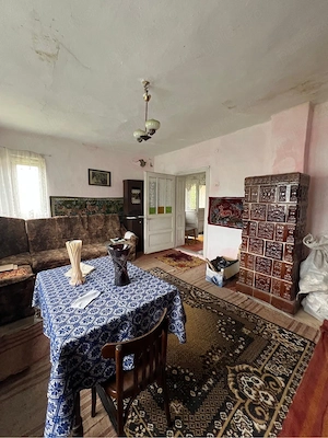 Casă cu 5.272 mp teren în Mura Mare (Gornești) - imagine 4