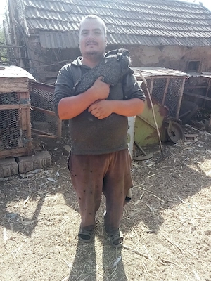 vand iepuri
