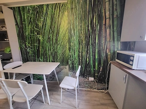Inchiriez apartament 2 camere ,Bragadiru ,Ilfov ,str.Safirului - imagine 5