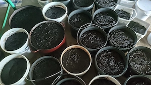 Vand magiun de prune
