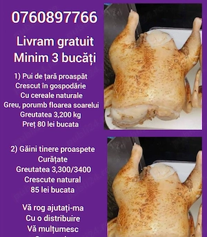 Pui de țară crescuți natural ,prospeti 