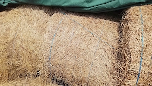 Furaje  animale