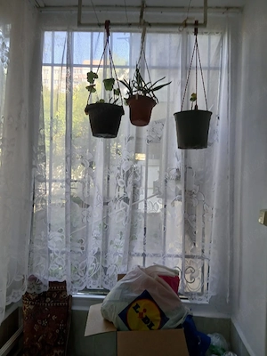 Apartament 2 camere  - imagine 4