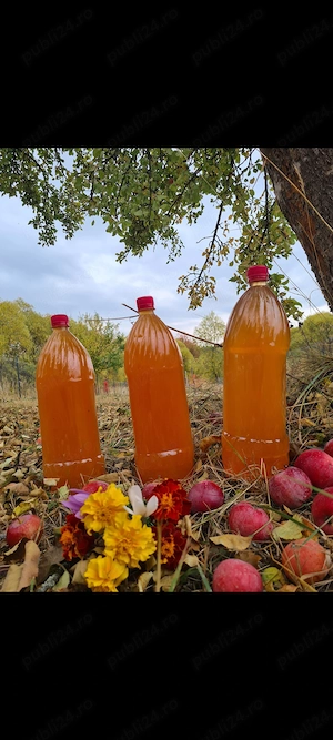 Vând suc de mere bio, de munte, gust deosebit, nestropite, 18lei sticlă de 2 litri!