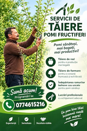 Toaletare pomi fructiferi 