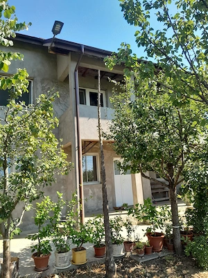 Casa P+1cu teren 1417mp in Giurgiu - imagine 2