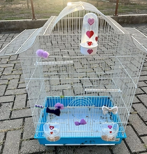 Vând cușcă papagali și canari
