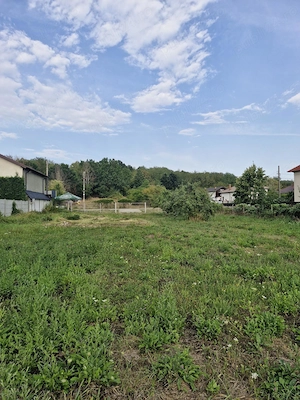 Teren intravilan 5500 mp Budeasa Gălășești - imagine 5