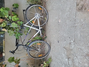 Bicicleta de vânzare 
