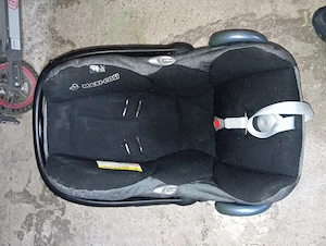 vând scoica bebe