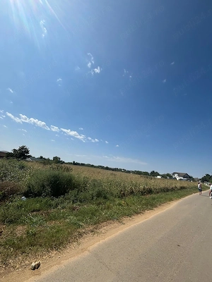 Vând teren intravilan 9.000 m  în Joița, Giurgiu   utilități la drum! - imagine 4