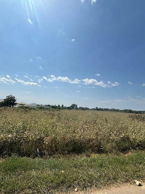 Vând teren intravilan 9.000 m  în Joița, Giurgiu   utilități la drum! - imagine 5