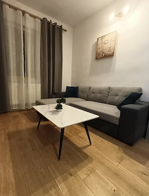 Apartament 1 camera de inchiriat - imagine 2