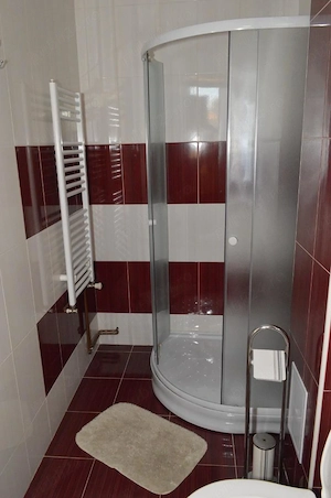 Chirie vila Sinmartin, lux ,SC-520mp,P+E+M, grill , terase , curte mare, 8 cam dep - imagine 6
