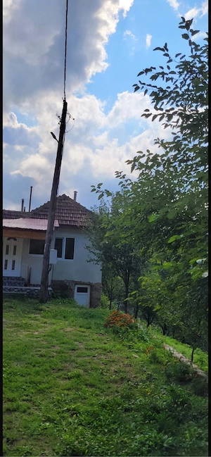 Casa pentru o familie harnica - imagine 4