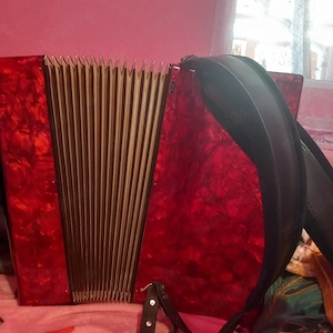 vand acordeon weltmeister  120 basi