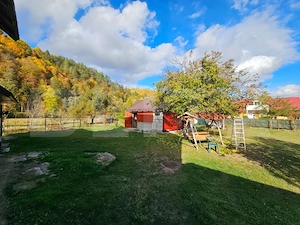 Două case și panoramă montană în Vidra - imagine 6