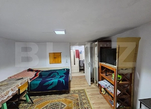 Două case și panoramă montană în Vidra - imagine 14