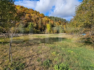 Două case și panoramă montană în Vidra - imagine 9