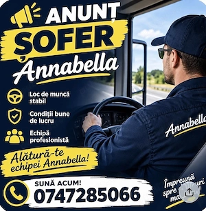 Angajam sofer categoria C - cu atestat