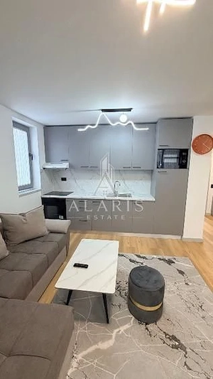 Apartament cu 2 camere, prima inchiriere, zona Torontalului - imagine 14