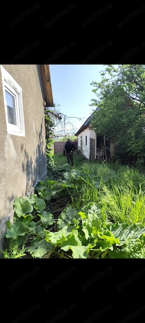 Vînd casă cu grădină in loc Voivodeni com Bîrsa - imagine 2
