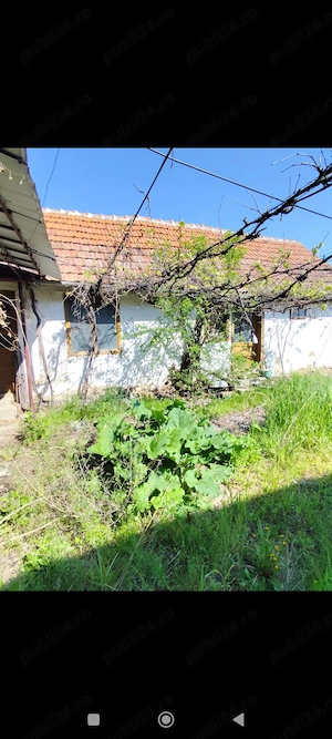 Vînd casă cu grădină in loc Voivodeni com Bîrsa - imagine 4