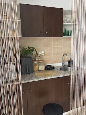 Garsonieră de inchiriat 24 mp + Loc de parcare | Subcetate Green Residence | Sânpetru Brașov | 300  - imagine 4