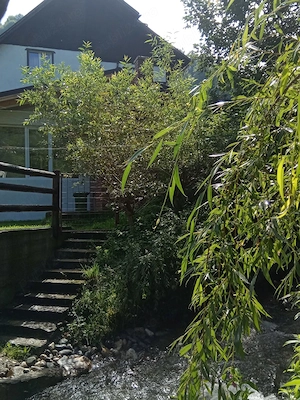 Cabana la munte