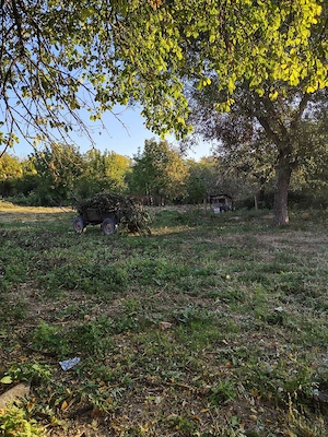 De vânzare Casă Bătrânească(Nelocuibilă)+ Teren 5000mp - imagine 3