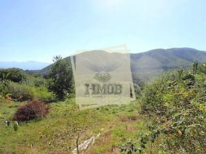Teren intravilan cu PUZ de 1409 mp in Cisnadioara