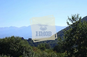 Teren intravilan cu PUZ de 1409 mp in Cisnadioara - imagine 3