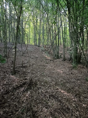 Vând Teren 844 mp Extravilan   Sălătrucel, Jud. Vâlcea - imagine 7
