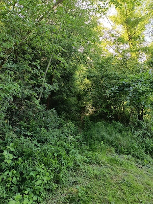 Vând Teren 844 mp Extravilan   Sălătrucel, Jud. Vâlcea - imagine 8