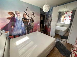 Apartament de 2 camere, centrala termica, Ac, zona Bvd Tineretului! - imagine 4