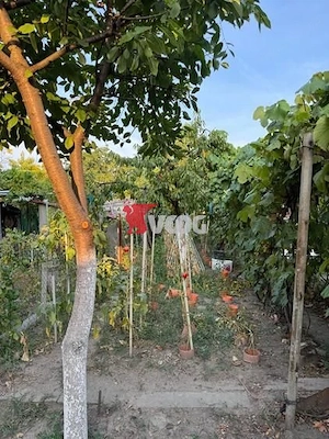 Casa de vânzare în zona Calea Sagului - imagine 21