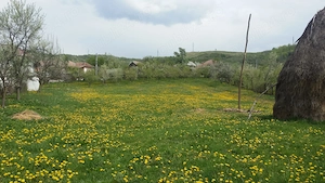 Teren 2000mp Calimanesti-Jiblea Veche - imagine 3