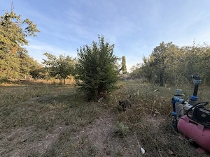 Casa individuala 110 mp utili, 1487 mp teren - Zona Blascovici - imagine 14