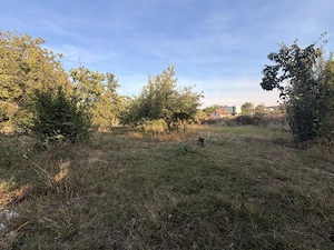 Casa individuala 110 mp utili, 1487 mp teren - Zona Blascovici - imagine 15