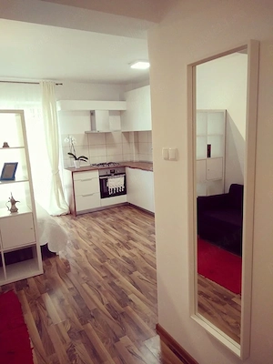 Apartament 1 camera tip studio cu loc de parcare - imagine 4