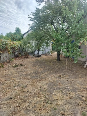 Casă de vânzare, 65 mp, zona Centrală - Malu Mare - imagine 11