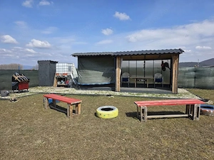 Teren Intravilan 700 mp Sanpetru - imagine 5
