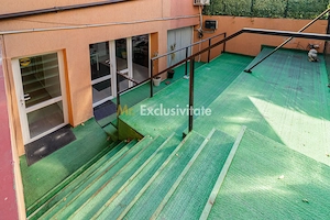 Spatiu Comercial Piata Gojului-Bulevardul Timisoara - imagine 9