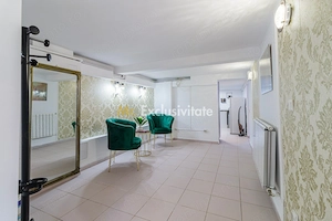 Spatiu Comercial Piata Gojului-Bulevardul Timisoara - imagine 3
